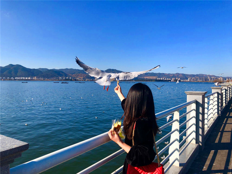 纯玩·私享家 ----昆明大理丽江双飞一动5晚6天游-第3张图片-河南中青旅行社【官方网站】-郑州旅行社-河南中青旅官网-河南旅行社-河南出发-郑州出发，0371-88881500