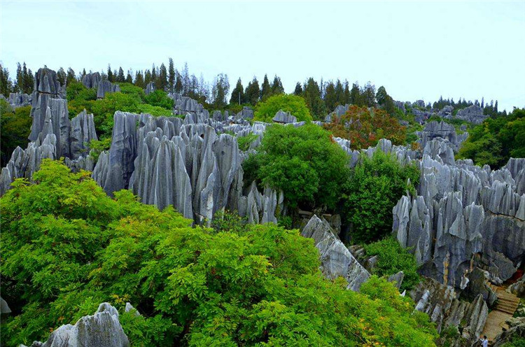 完美头等舱-昆明、大理、丽江双飞6日豪华之旅​-第5张图片-河南中青旅行社【官方网站】-郑州旅行社-河南中青旅官网-河南旅行社-河南出发-郑州出发，0371-88881500