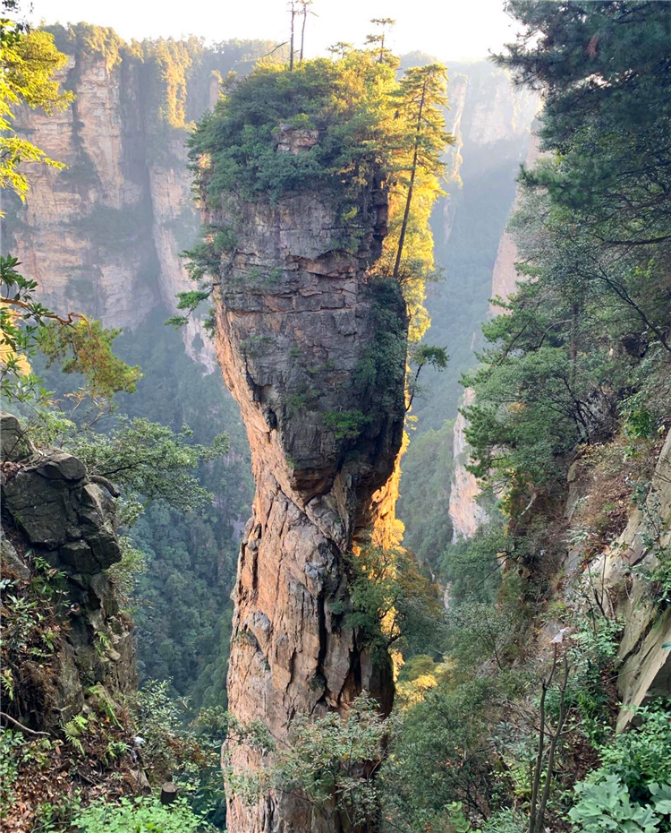 国色天湘-张家界/袁家界/天子山/金鞭溪、天门山（玻璃栈道）、凤凰古城/芙蓉镇/张家界千古情/苗寨/双飞5日游-第3张图片-河南中青旅行社【官方网站】-郑州旅行社-河南中青旅官网-河南旅行社-河南出发-郑州出发，0371-88881500