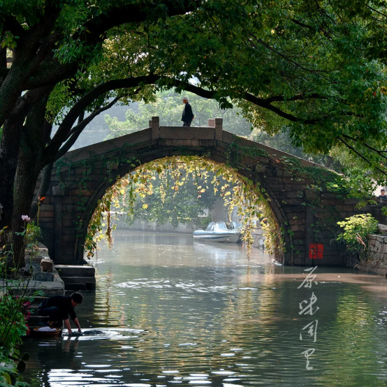 【全陪团】华东五市+瘦西湖+鼋头渚+狮子林+双水乡双卧七​日游-第14张图片-河南中青旅行社【官方网站】-郑州旅行社-河南中青旅官网-河南旅行社-河南出发-郑州出发，0371-88881500